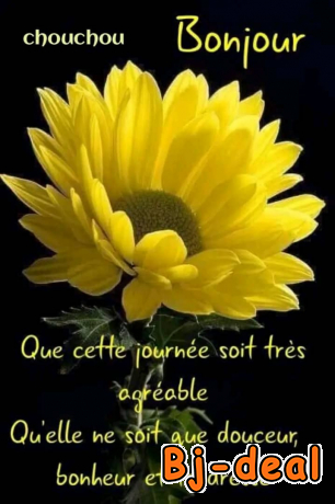 Main image of Sensations fortes et inoubliables