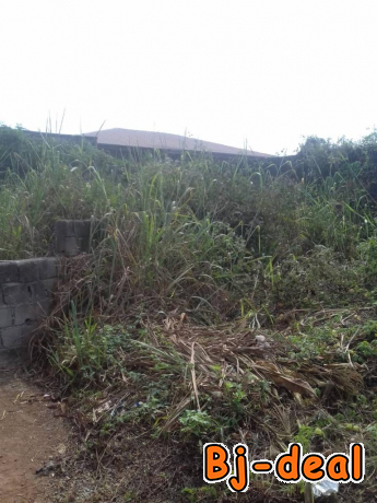 Main image of Magnifique terrain titré à vendre à lada