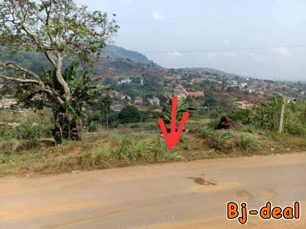 Image principale de Terrain à vendre Une offre en or