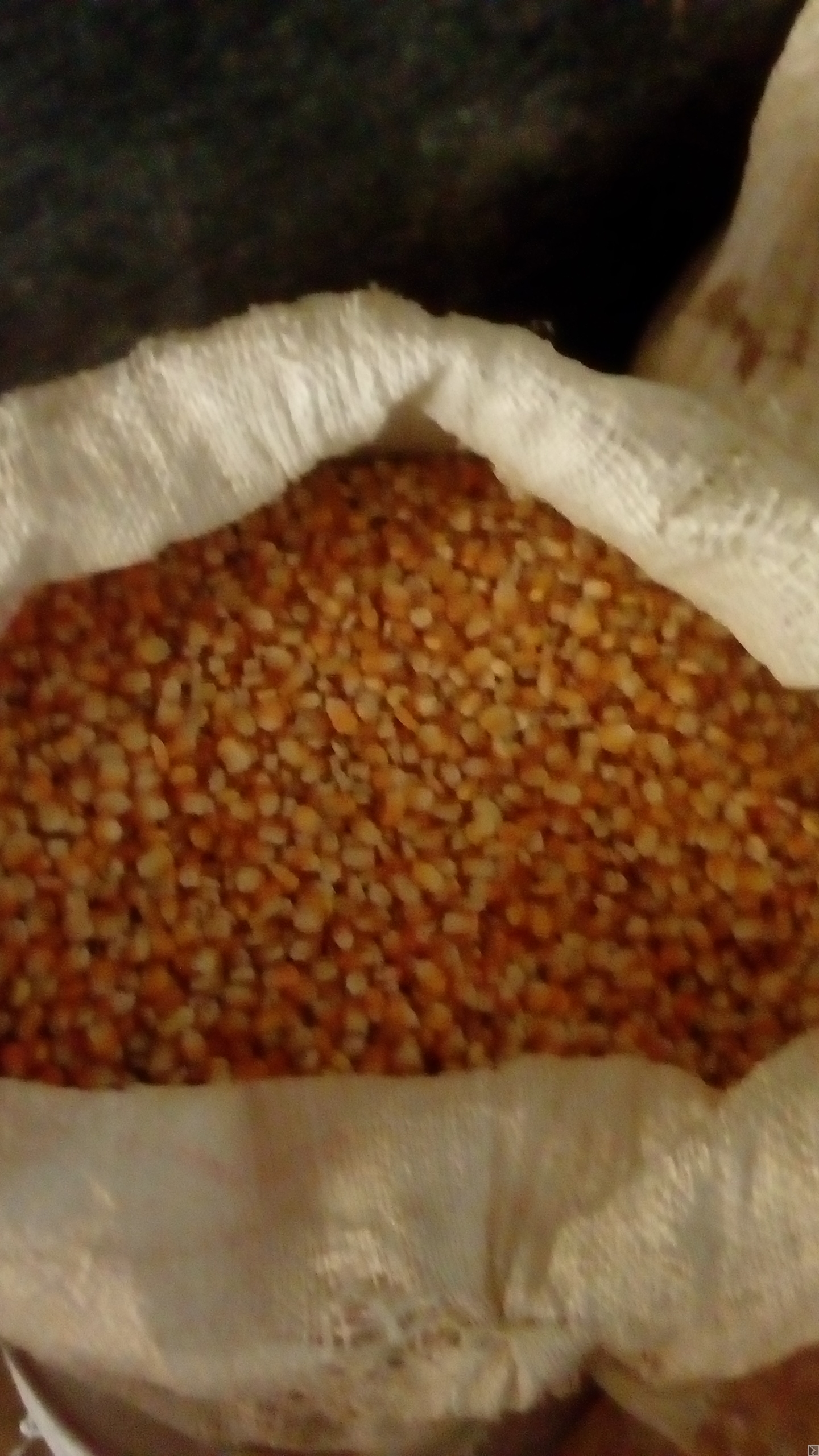 Image principale de Vente