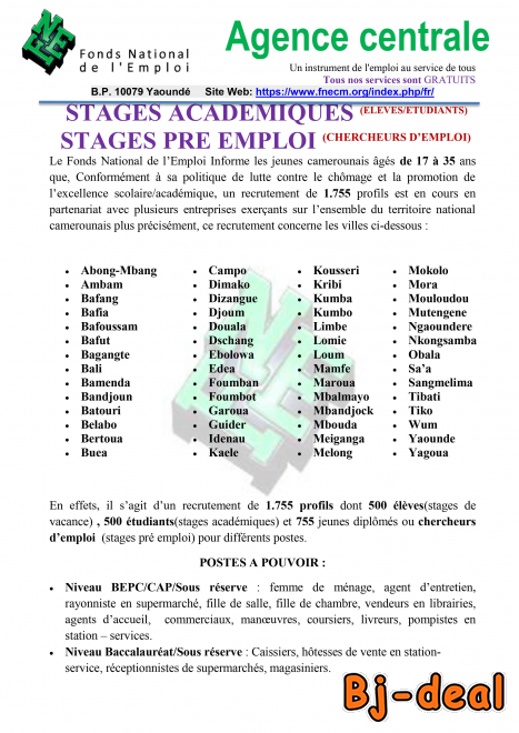 Image principale de STAGES DE VACANCES ET STAGES PRE EMPLOI