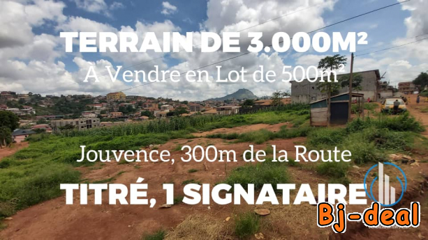Image principale de Terrain de 3000m2 à vendre à Jouvence Biyem-Assi