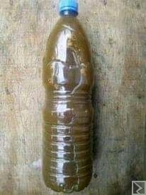 Main image of Écorce pour grossir le penis