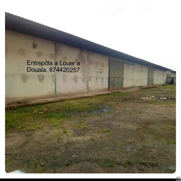Image principale de Location de Entrepôts et Magasins de 2000m2 a Douala
