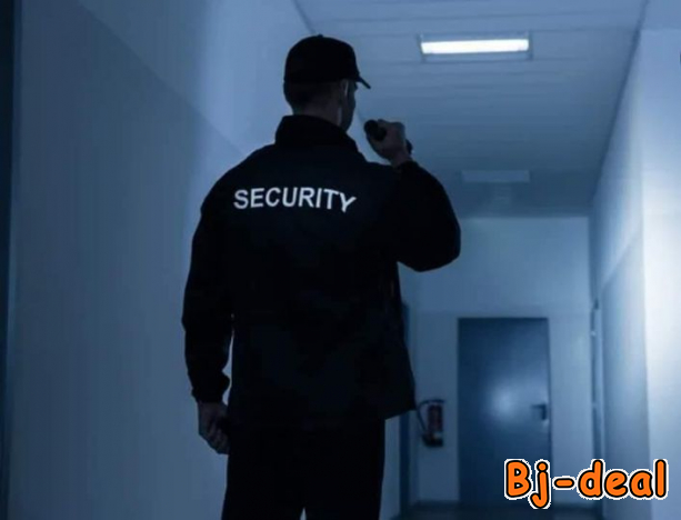 Main image of Placement du personnel de maison