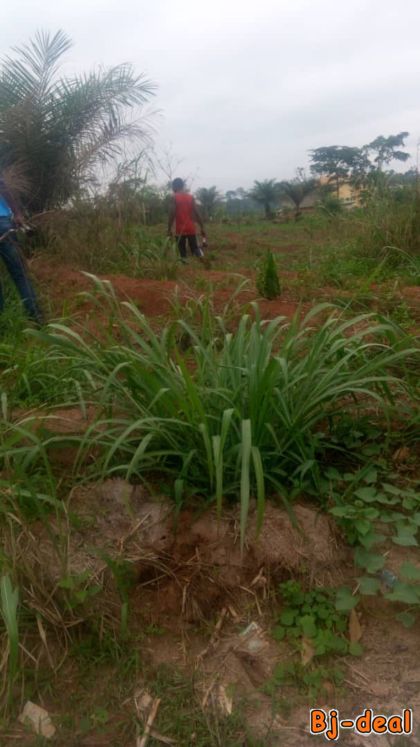 Image principale de Terrain titré dans une zone fortement habitée
