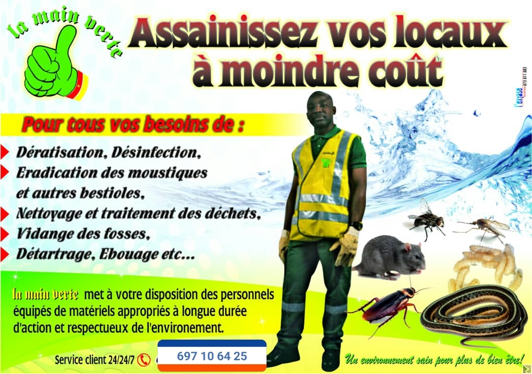 Main image of Assainissement de vos locaux