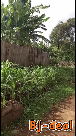 Image principale de Terrains titré à Yaoundé bastos