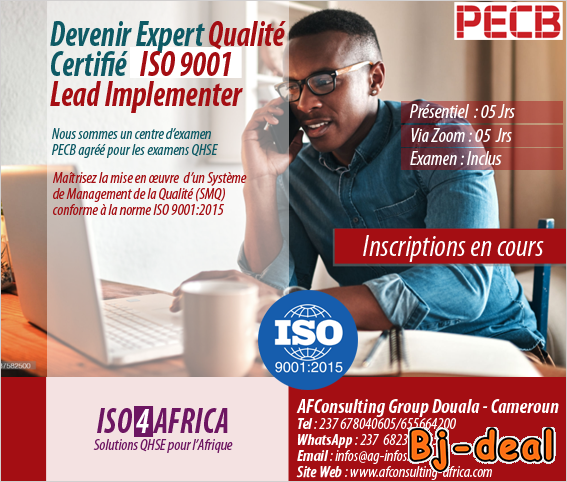 Main image of ISO 9001 Lead Implementer