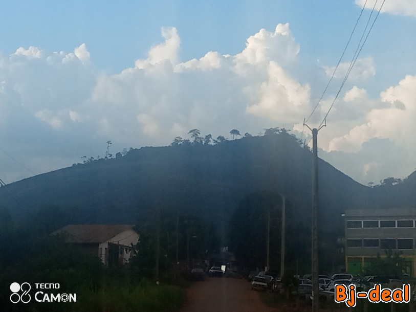 Main image of Bac centraficain 2023 en toute sécurité