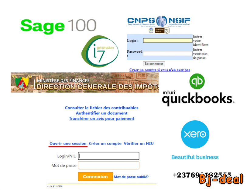 Image principale de Accounting and Business management system