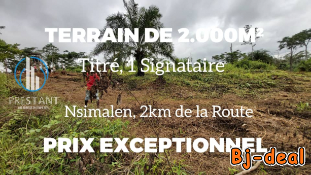 Image principale de Vaste Terrain de 2000m2 à vendre à Nsimalen