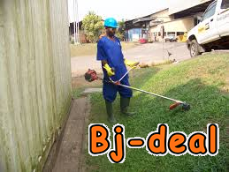 Image principale de jardinier mobile yaoundé