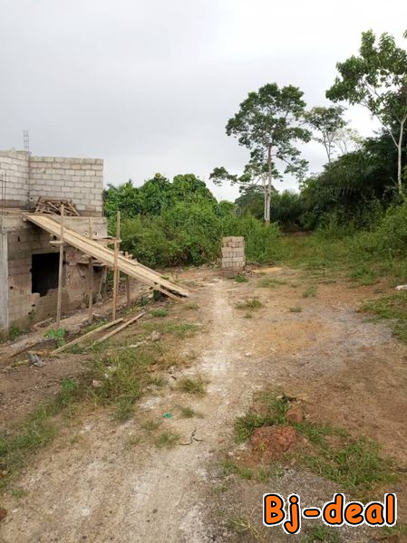 Image principale de Un financier liquide 300m2 à Ekoko péage