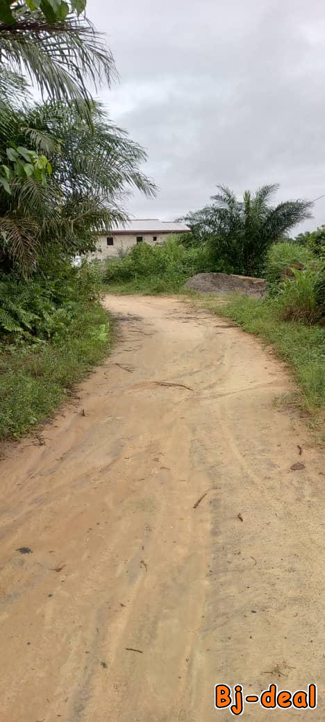 Main image of Terrain titré sec bojongo derrière le lycée