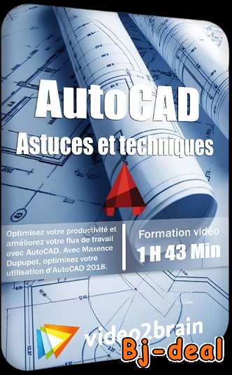 Image principale de AutoCAD Astuces et techniques - 1h43 - 3Gb
