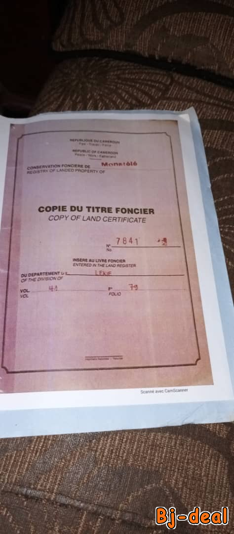 Image principale de Vente de terrain titré