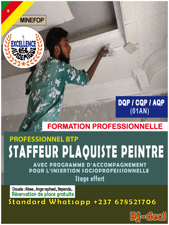 Image principale de TECHNICIEN  STAFFEUR PLAQUISTE PEINTRE