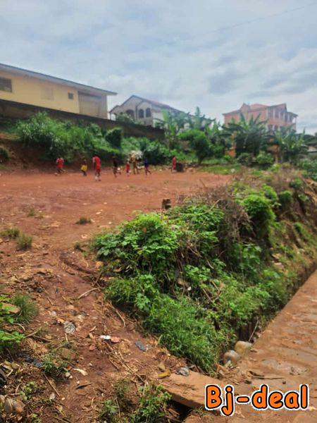 Image principale de Terrain commercial titré à vendre à Titi garage