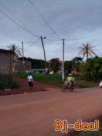 Image principale de Terrain titré à vendre à Odza petit marché