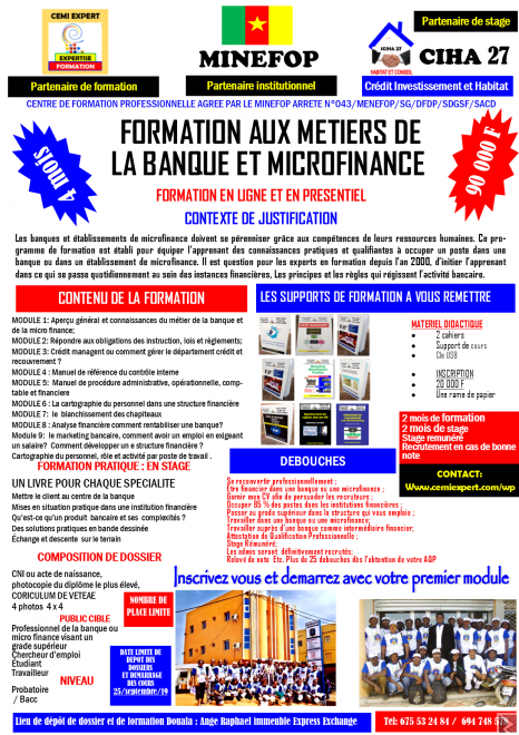 Main image of Devenez Intermédiaire Financier, Comptable Agent de crédit : Formation-Emploi