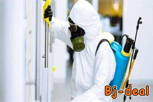 Main image of Dératisation Désinfection et Désinsectisation