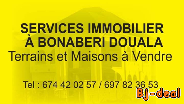 Main image of Entrepôt et Magasin 1000m2 a louer a Douala