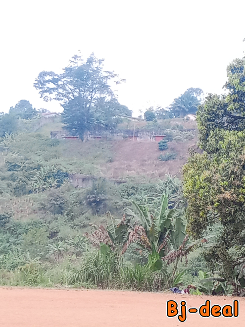 Image principale de Juste pour femmes matures