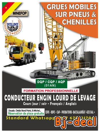 Image principale de Formation en conduite engin lourd Grue mobile