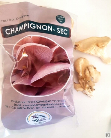 Image principale de Champignons secs