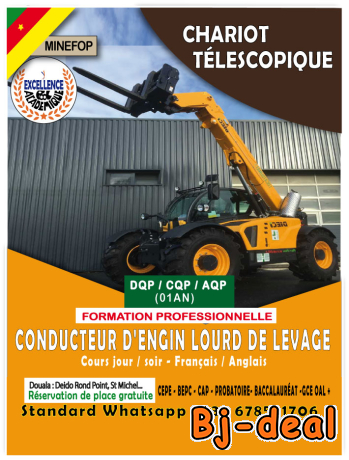 Image principale de Chariot télescopique Formation en conduite