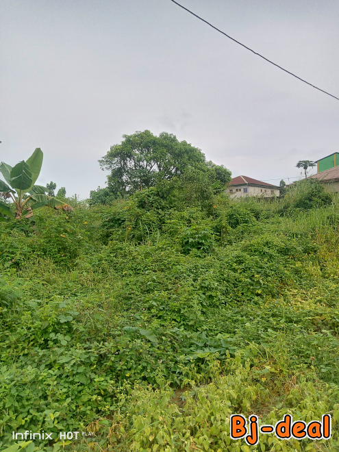 Main image of Terrain à vendre logbesou