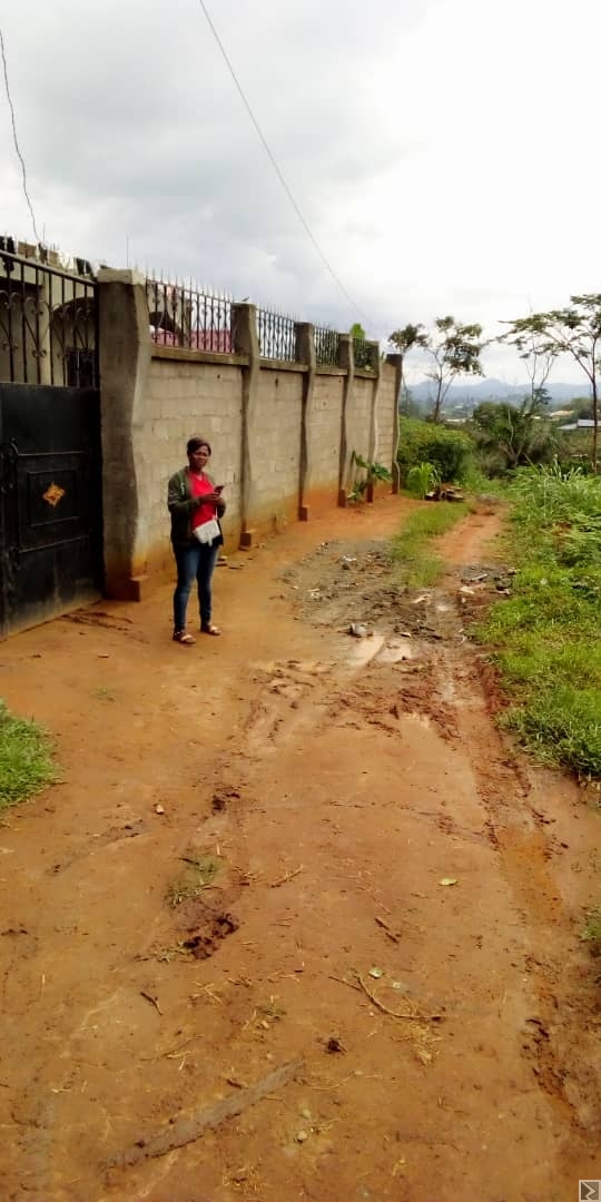 Image principale de sassaye de terrain a Nkoabang