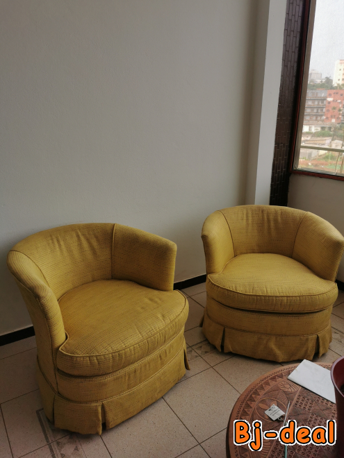 Image principale de Fauteuil de salon