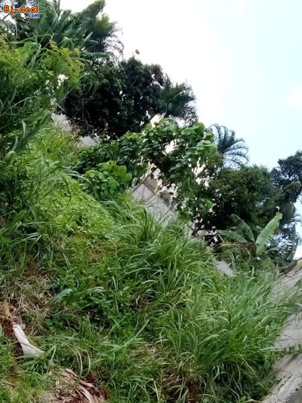 Main image of Somptueux terrain titré à vendre à mvan complexe beac