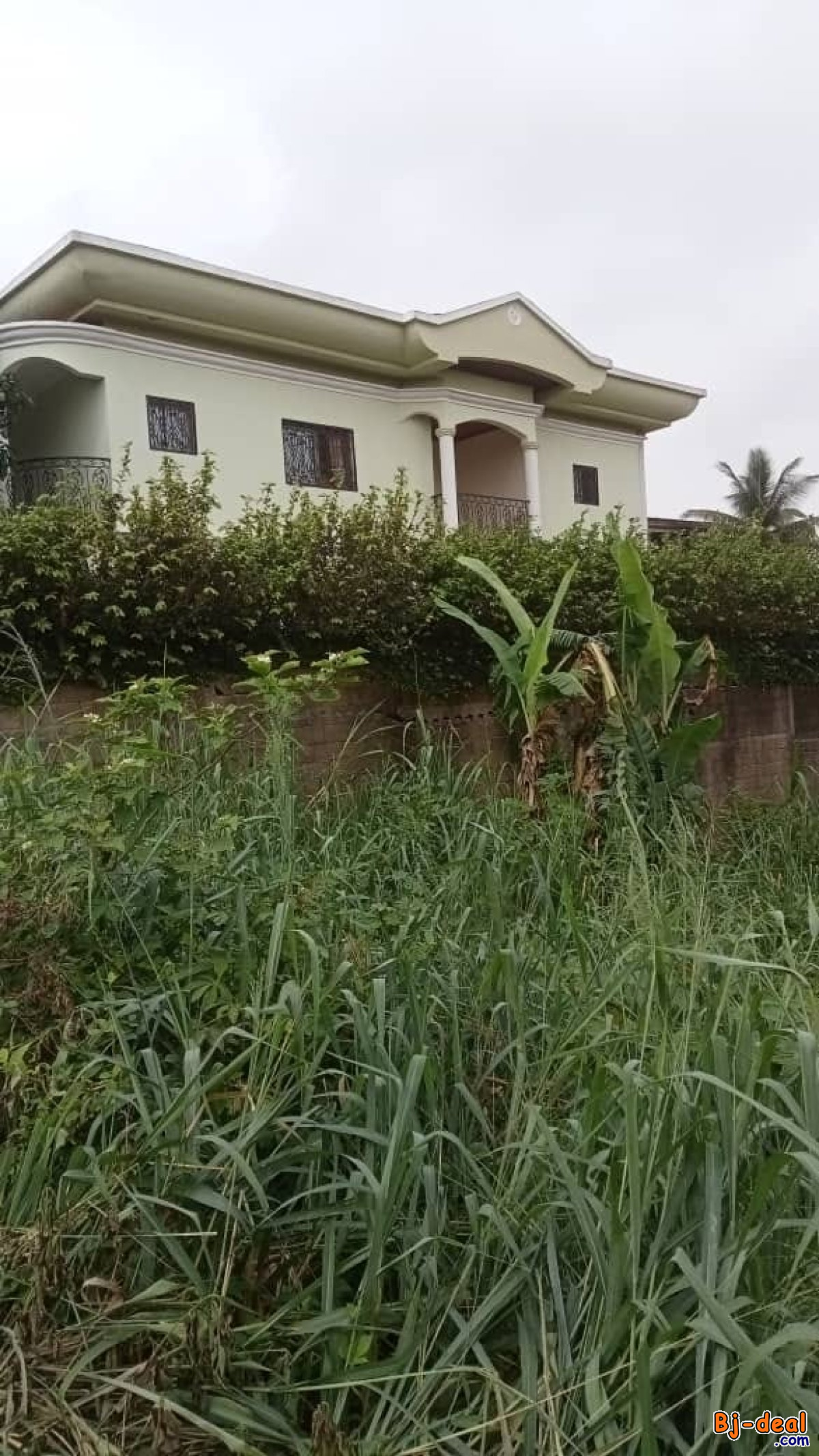 Main image of Terrain titré à vendre à Odza Messamendongo à 300m du goudron