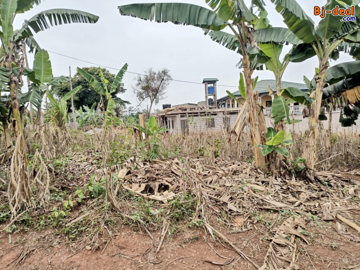 Main image of Terrain titré loti à vendre à Nkoabang entrée carriére sur 3lots