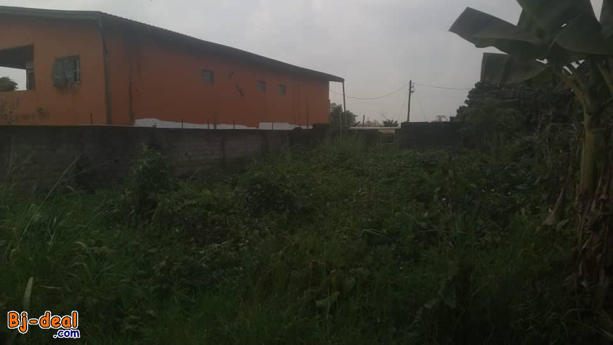 Image principale de Terrain plat titré à vendre à Awae ewankan