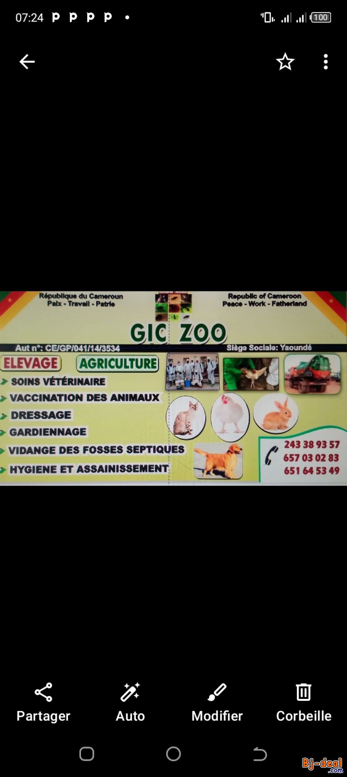 Image principale de Vente des poussins préchauffés