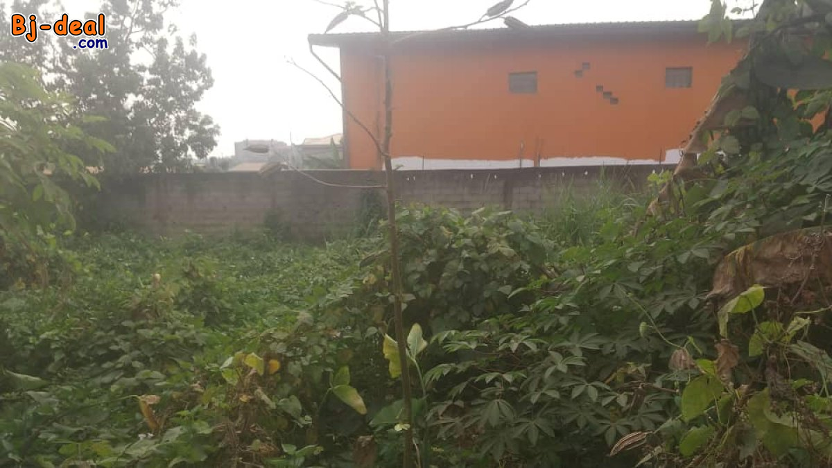 Image principale de Terrain plat titré à vendre à Awae ewankan carrefour M le maire