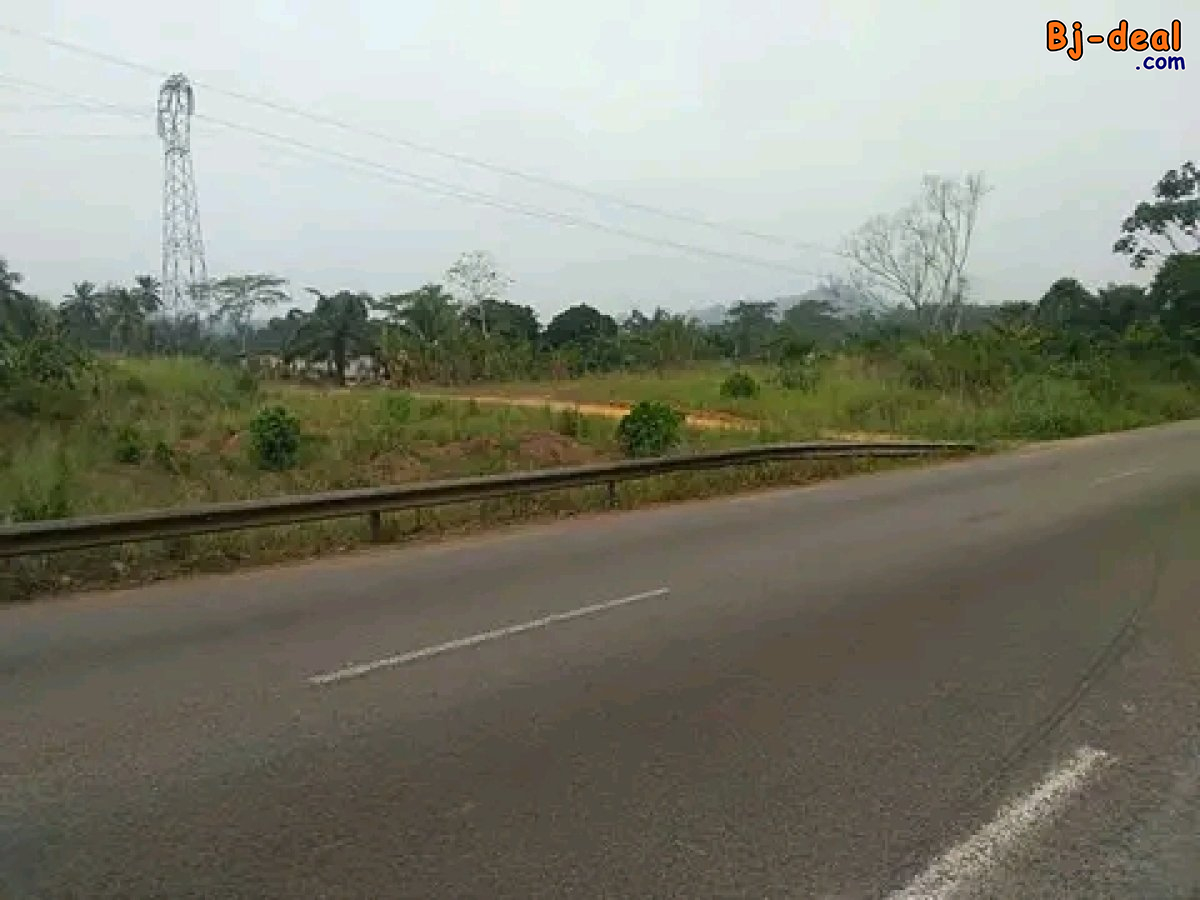 Image principale de INVESTISSEZ DANS LA LOCATION D&amp;#039;UN SITE AGRICOLE  POUR VOTRE PROJET AGRICOLE