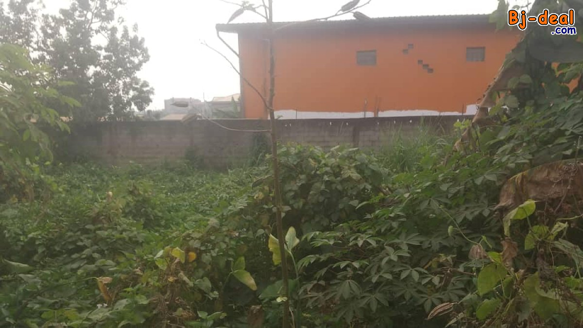 Image principale de Terrain plat titré à vendre à Awae ewankan carrefour Mr la maire