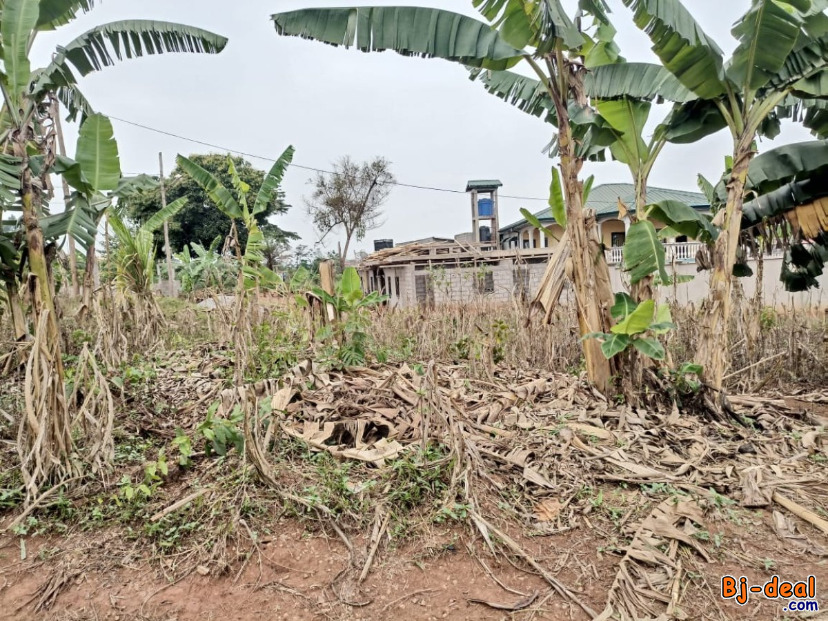 Image principale de Terrain titré Loti à vendre à Nkoabang entrée carrière