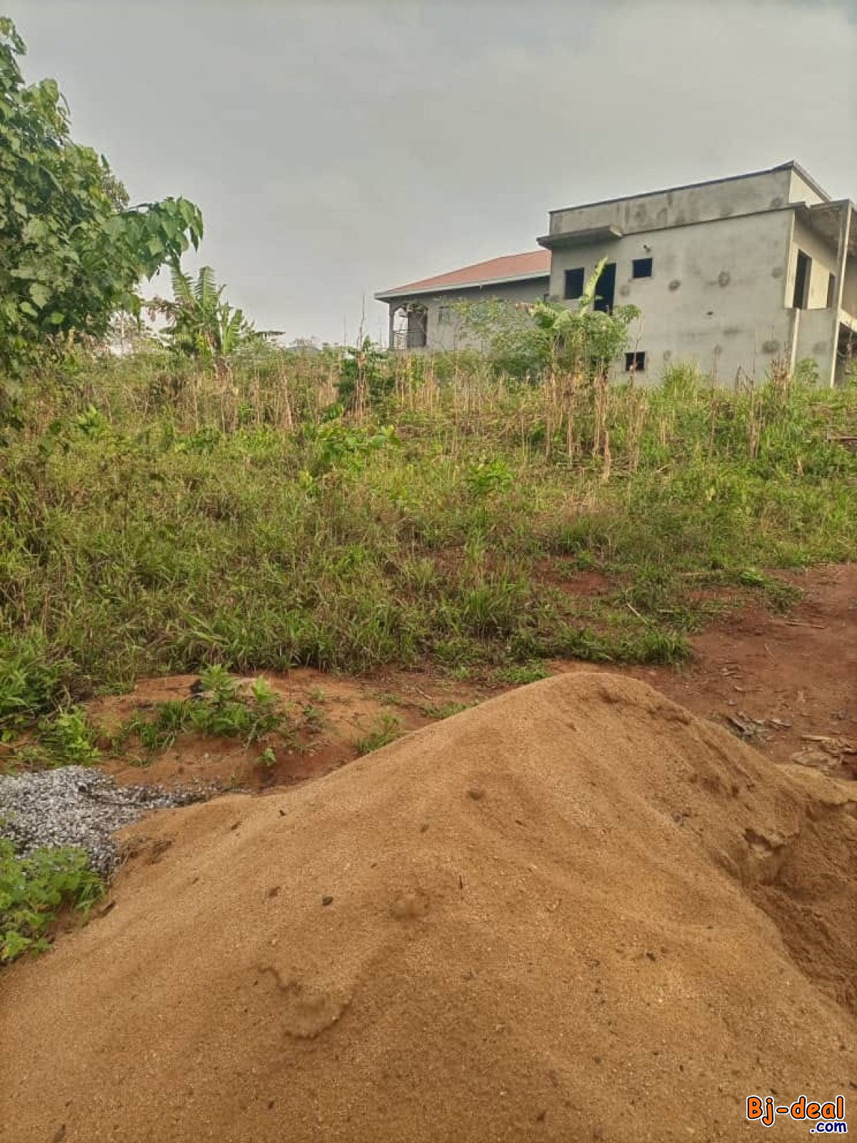 Image principale de Terrain titré à vendre à Tsinga village