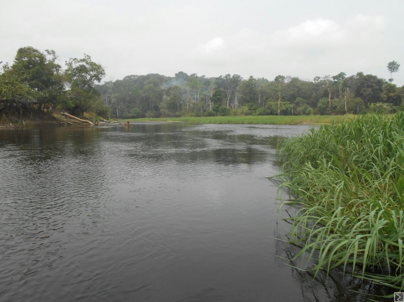 Main image of 500 hectares de terrain agricole à  louer  Mengang