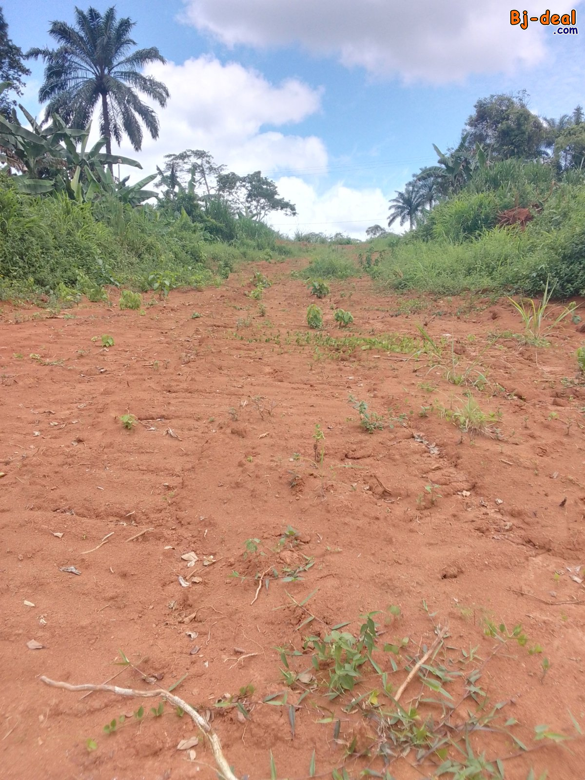 Main image of 1000 M2 titrés lotis en vente à Nsimalen après le rond