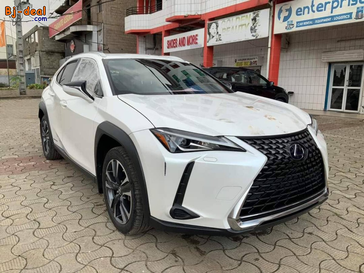 Main image of Lexus UX 250h année 2021