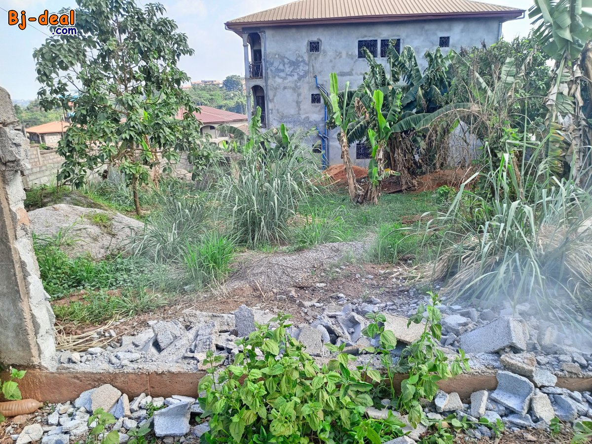 Main image of 1000m² Terrain titré et loti a vendre à NKOZOA