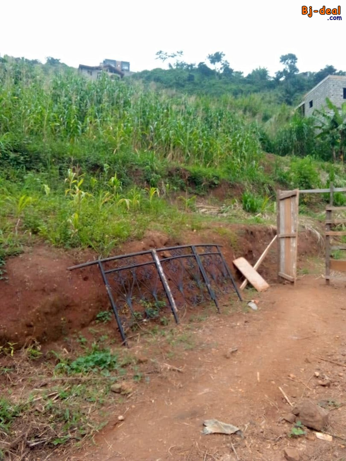Main image of Terrain titré à vendre à Febé chez le gouverneur