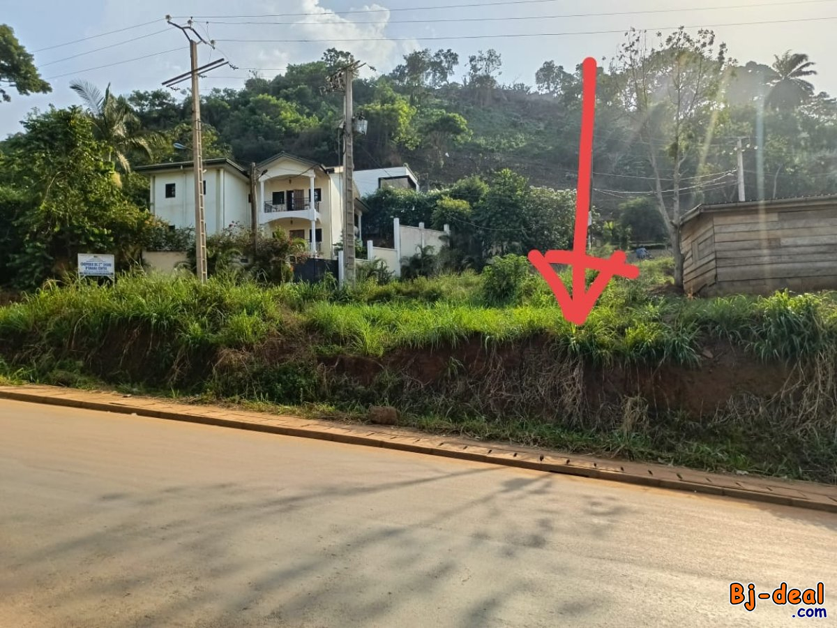 Main image of Un magnifique terrain d angle titré de 1000m² à vendre à 100m face parcours vita